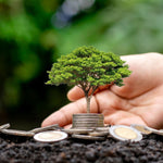Sustainable Living: Everyday Practices for a Greener Future