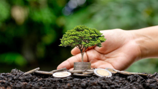 Sustainable Living: Everyday Practices for a Greener Future