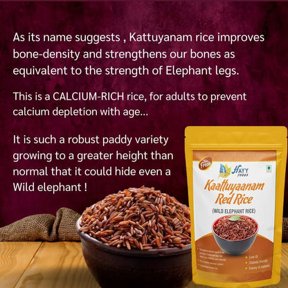 Kaatuyaanam Red Rice