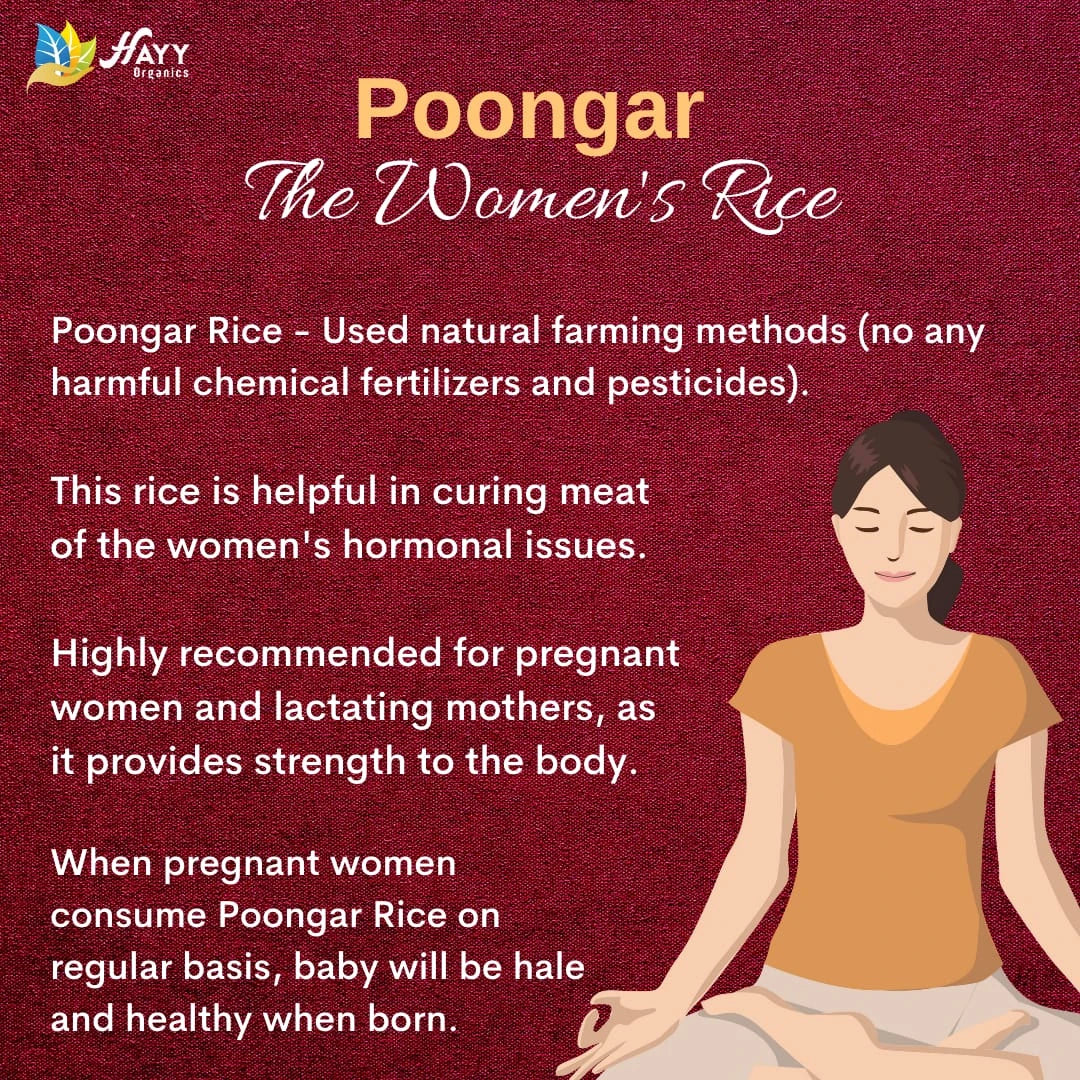 Poongar Rice Health Mix