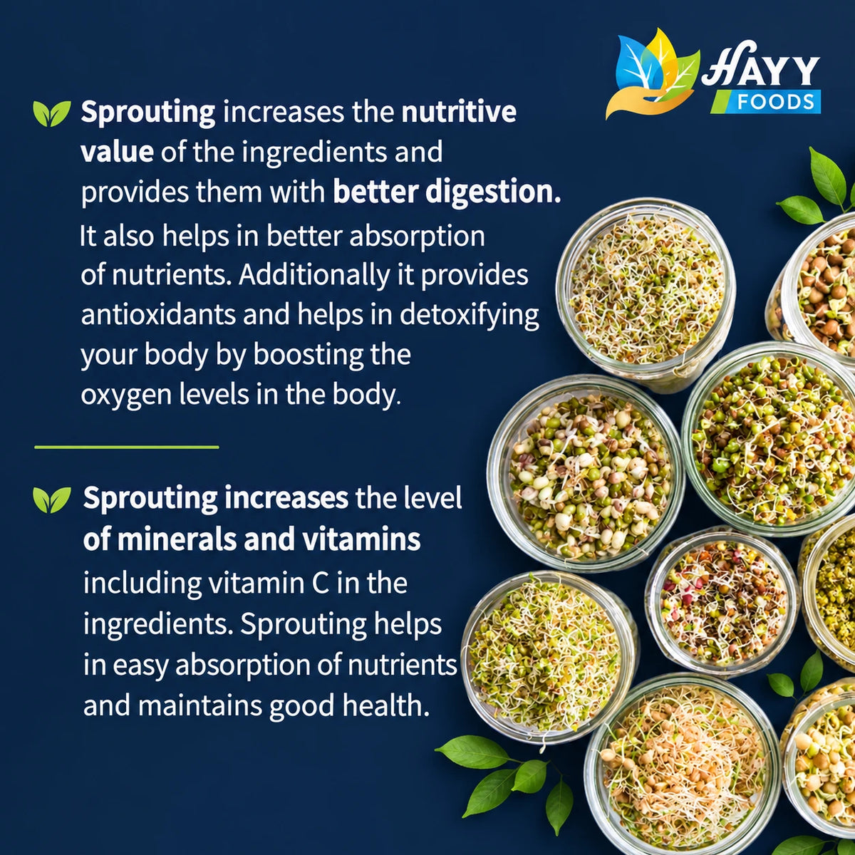 Sprouted Health Mix