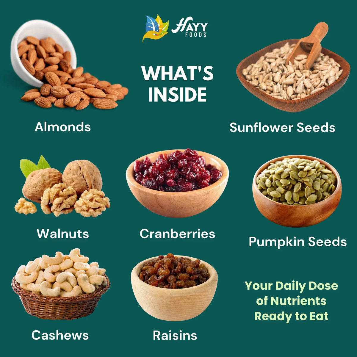 Dry Fruits Nuts Seeds Mix