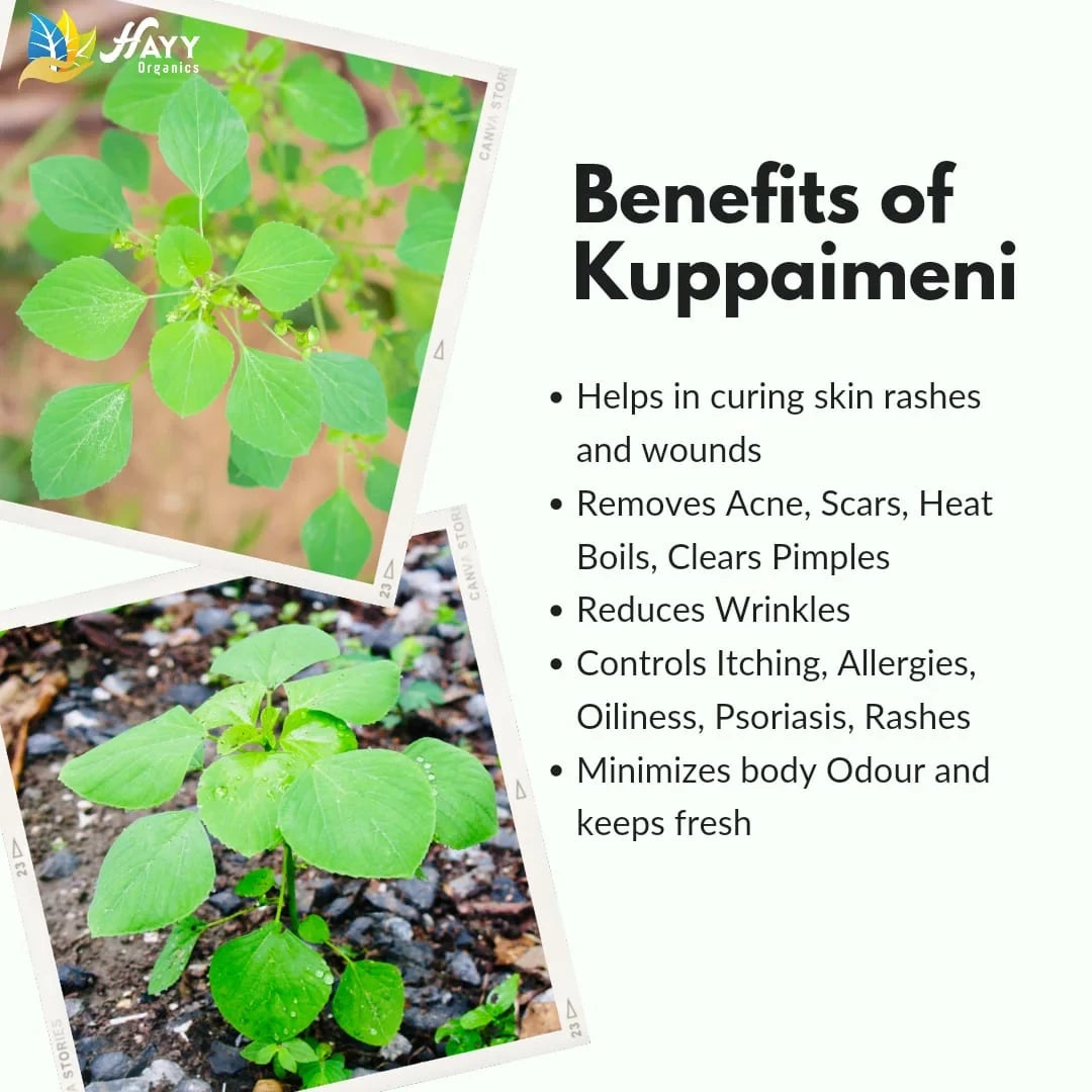 Kuppaimeni Soap