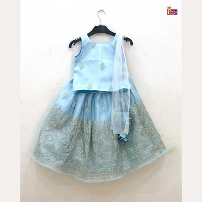 Kids Blue and Silver Embroidery net Lehenga Choli LC277