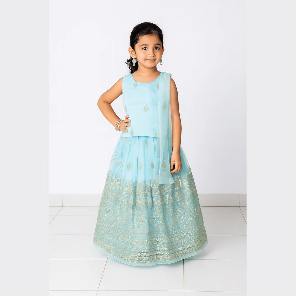 Kids Blue and Silver Embroidery net Lehenga Choli LC277