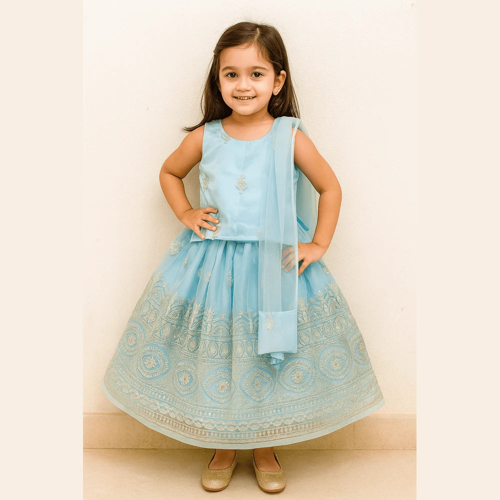 Kids Blue and Silver Embroidery net Lehenga Choli LC277
