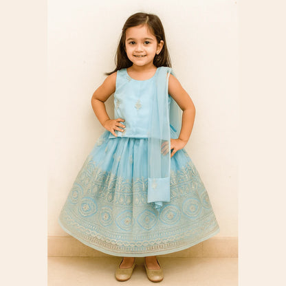 Kids Blue and Silver Embroidery net Lehenga Choli LC277