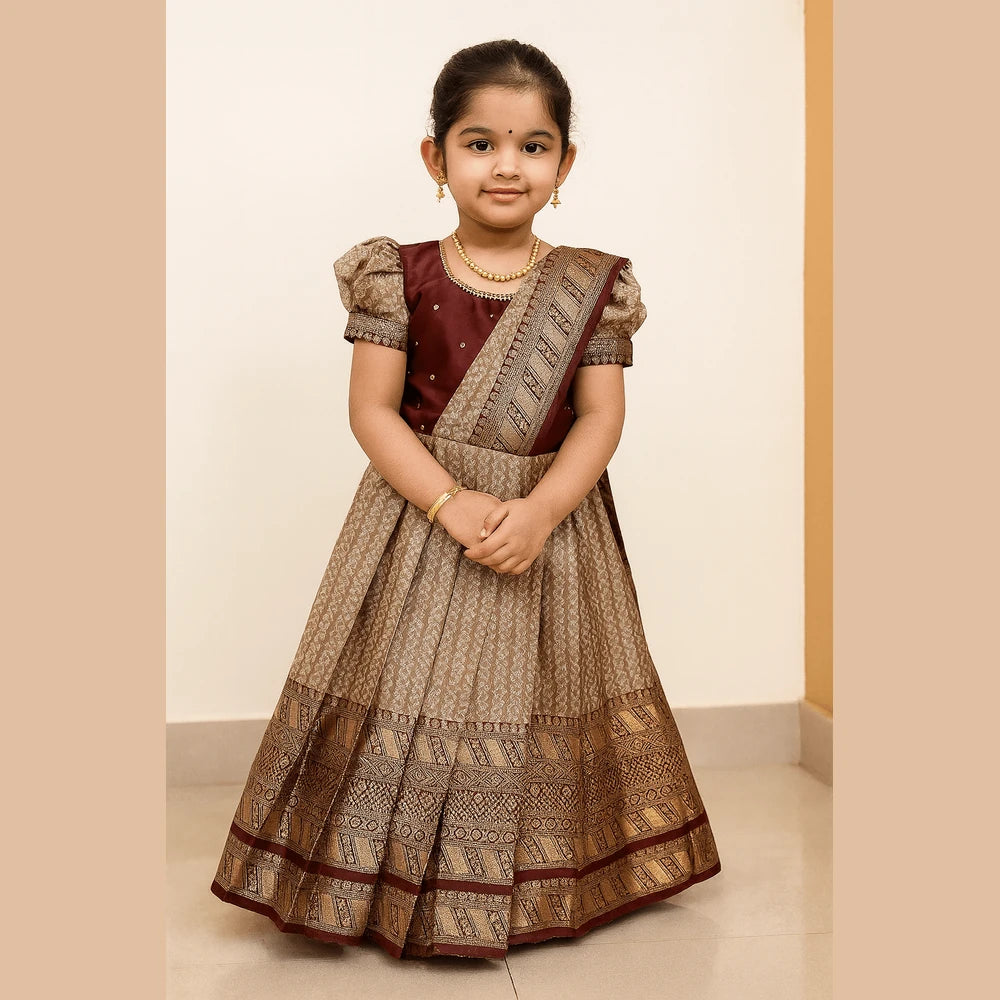 Maroon Banarasi Pattu Gown Semi Saree Pleat Model | Aari Work Gown PG566
