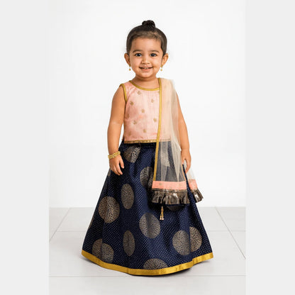Peach with Navy Embroidery net Lehenga Choli LC092