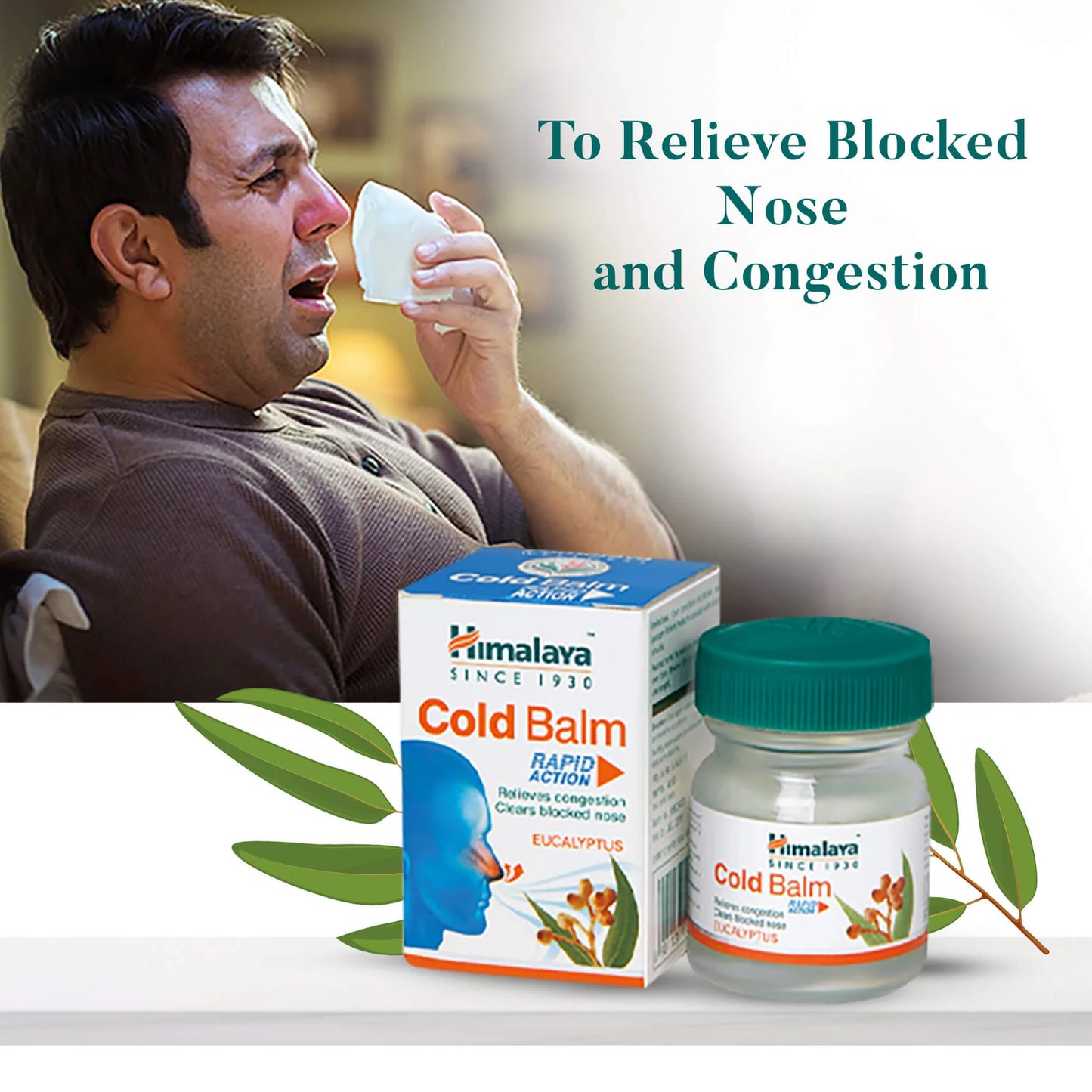 Himalaya's Cold balm