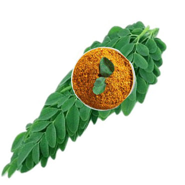 Kamarkat Srini's 
Chikruvaathi Chooranam 
- Moringa Leaf Powder
