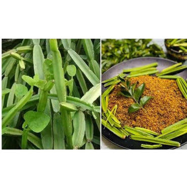Kamarkat Srini's 
Pirandai (Herbal) Idli/Dosa Podi