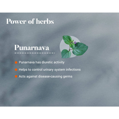 Himalaya's Punarnava