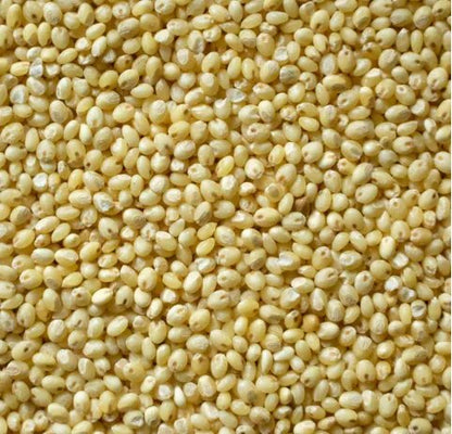 Thalini Panivaragu (Proso) Millet