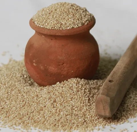 Thalini Samai ( Little) Millet