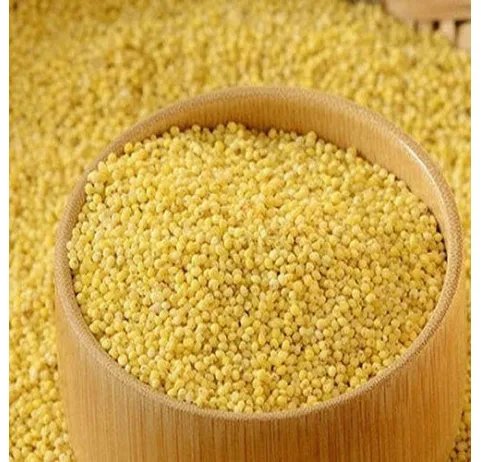 Thalini Thinai (Foxtail) Millet